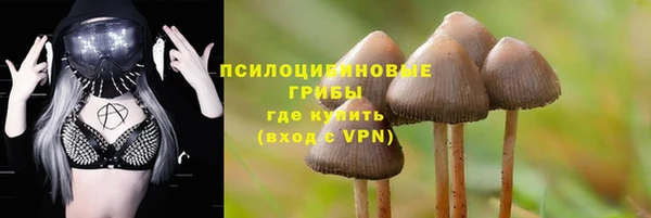 эйфоретик Бугульма