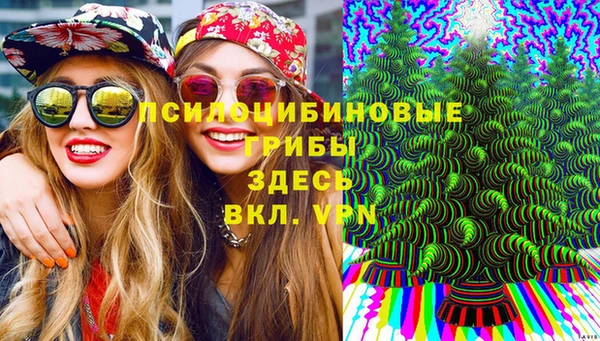 шишки Богородицк