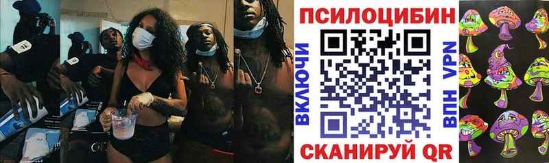 Галлюциногенные грибы прущие грибы  наркотики  Кущёвская 